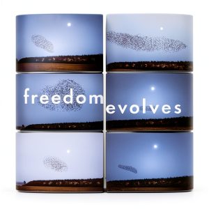 Free Will & Determinism Philosophy Book by Penguin Books-0