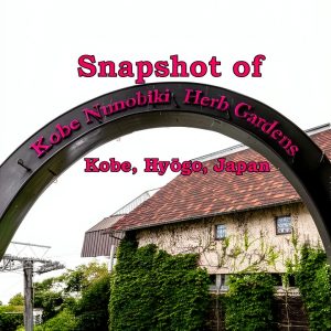 Japan Travel Photography Book Snapshot World Adventures Print Replica-0