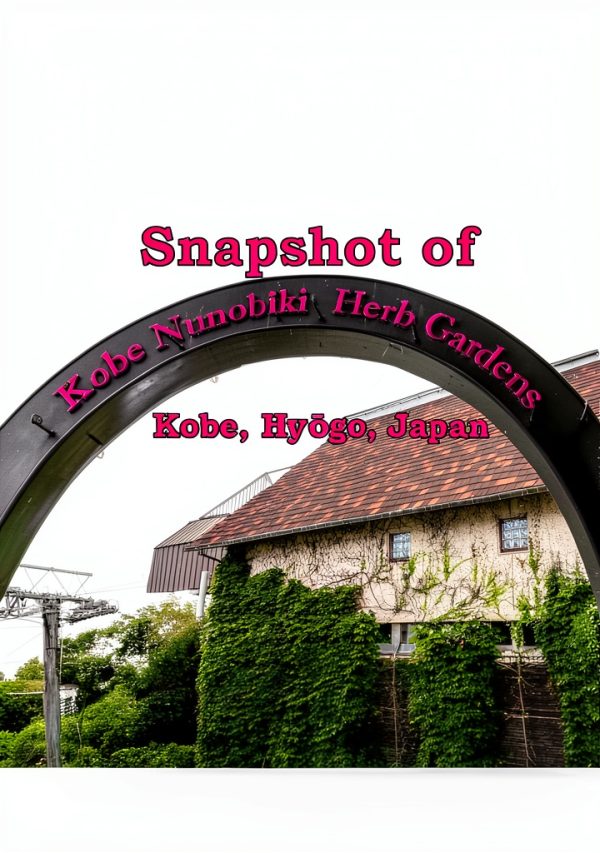 Japan Travel Photography Book Snapshot World Adventures Print Replica-0